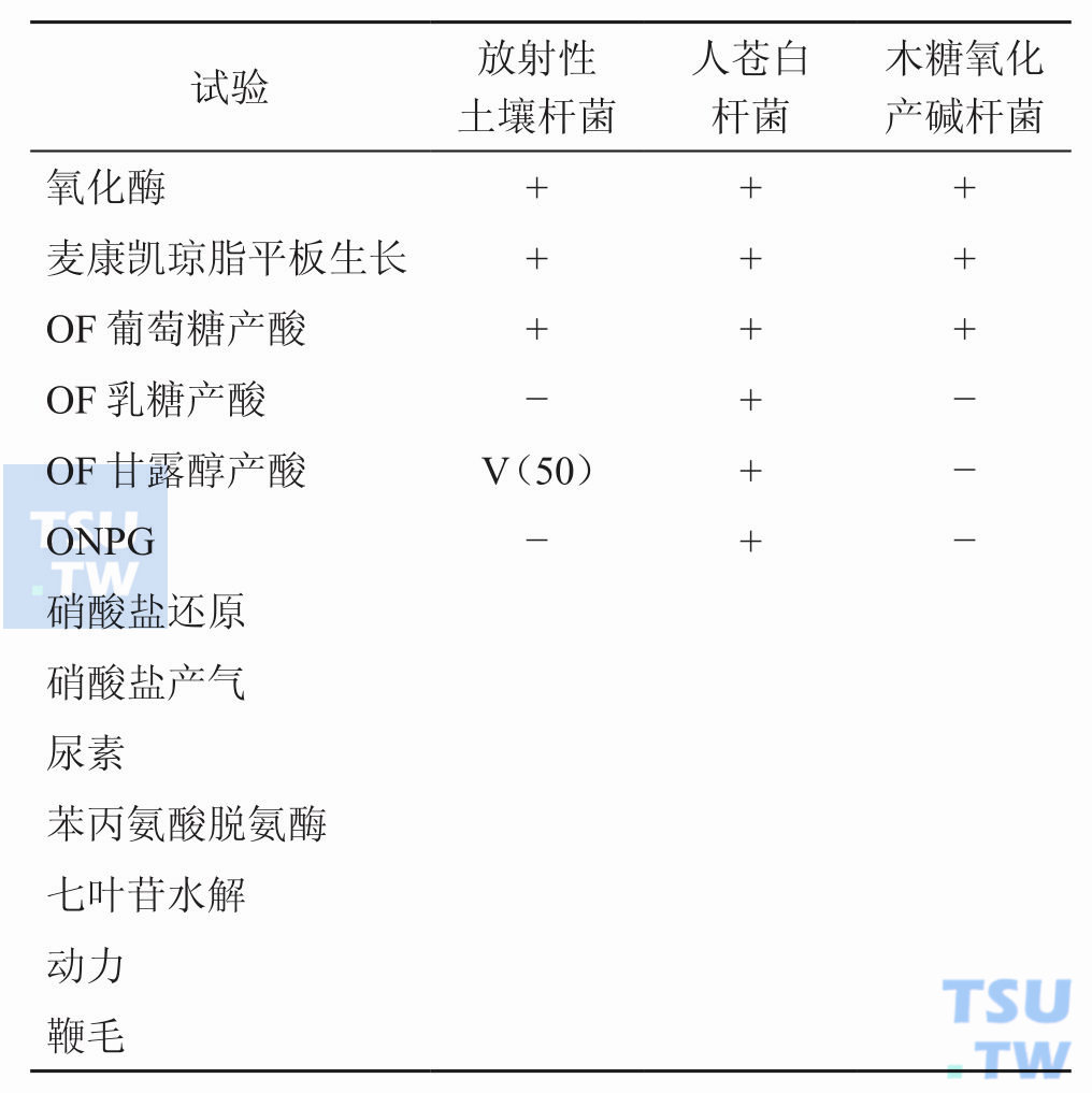 土壤杆菌和相似菌的鉴别；注：+，90%或以上菌株阳性；−，90%或以上菌株阴性；V，11%～89%菌株阳性