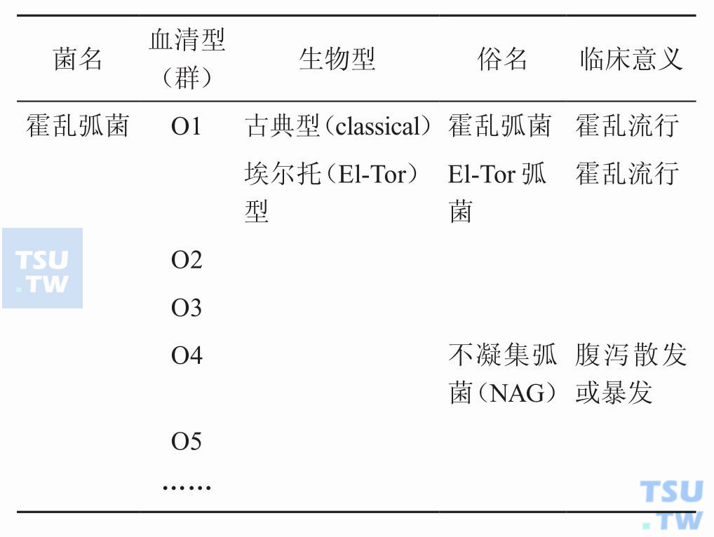 O1群霍乱弧菌的血清型和生物型有哪几种？