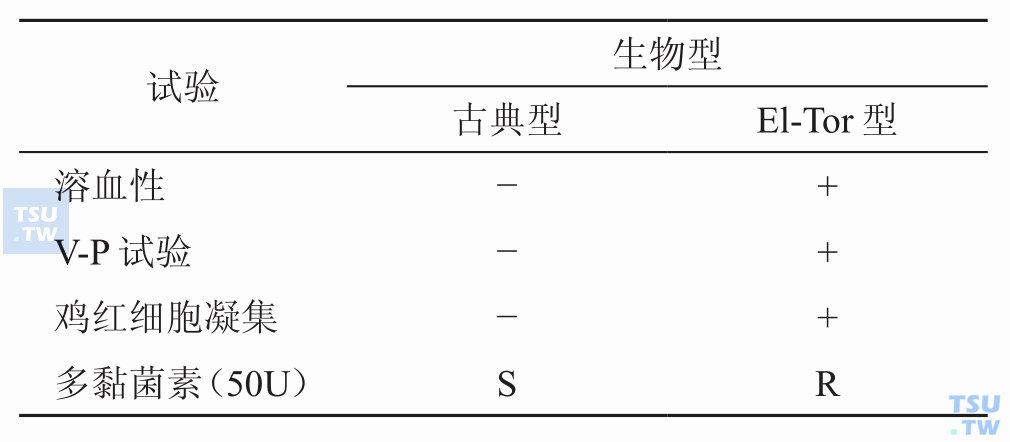 霍乱弧菌生物分型