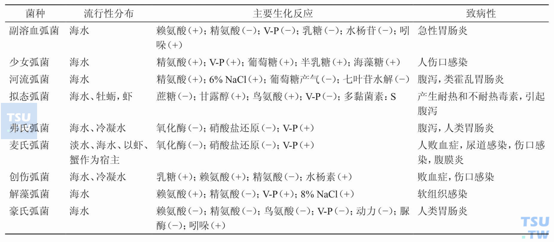 临床其他重要弧菌的特性