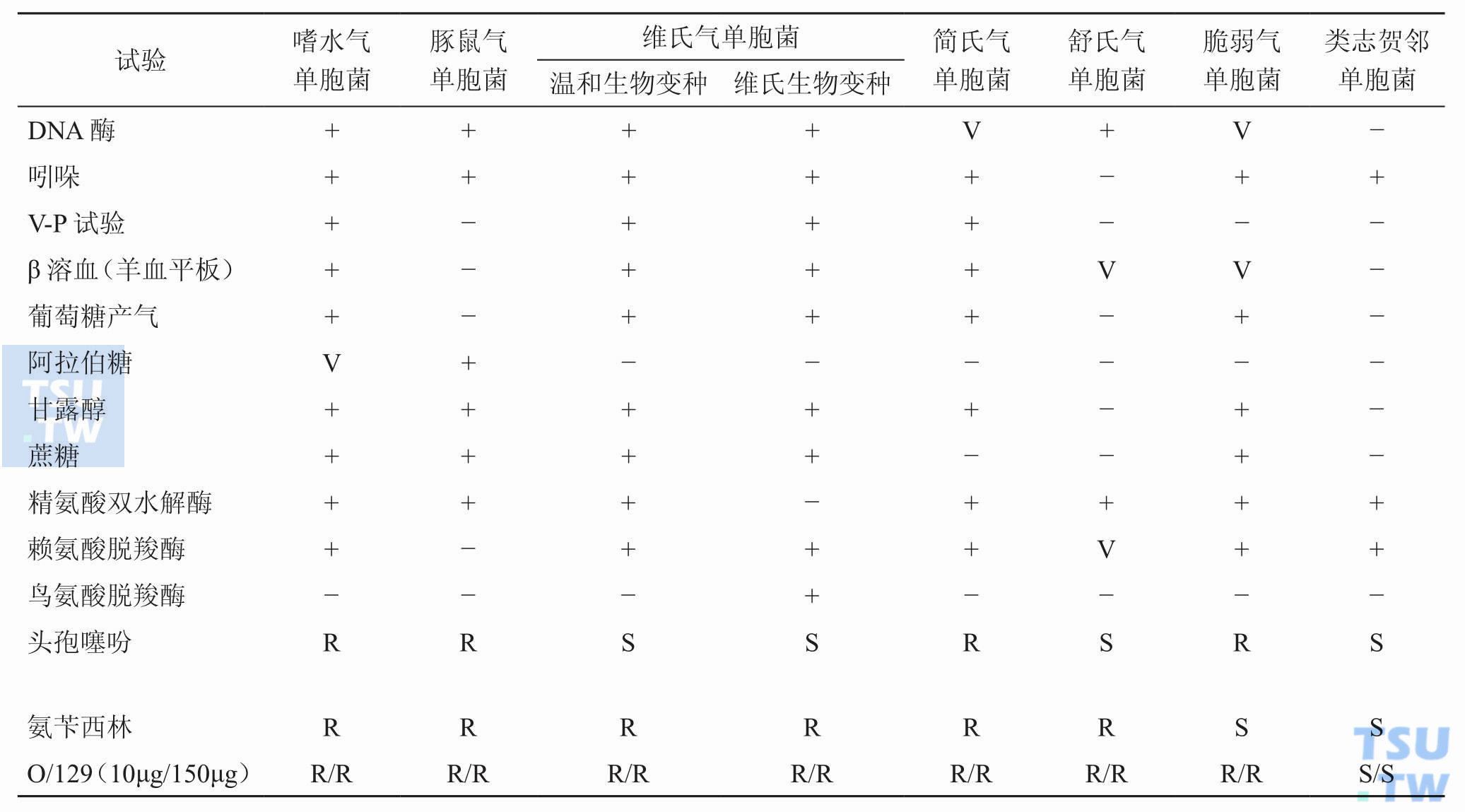 气单胞菌属内鉴别及与相关菌种的鉴别；注：+，> 90%阳性；−，< 10%阳性，V，未定；S，敏感；R，耐药