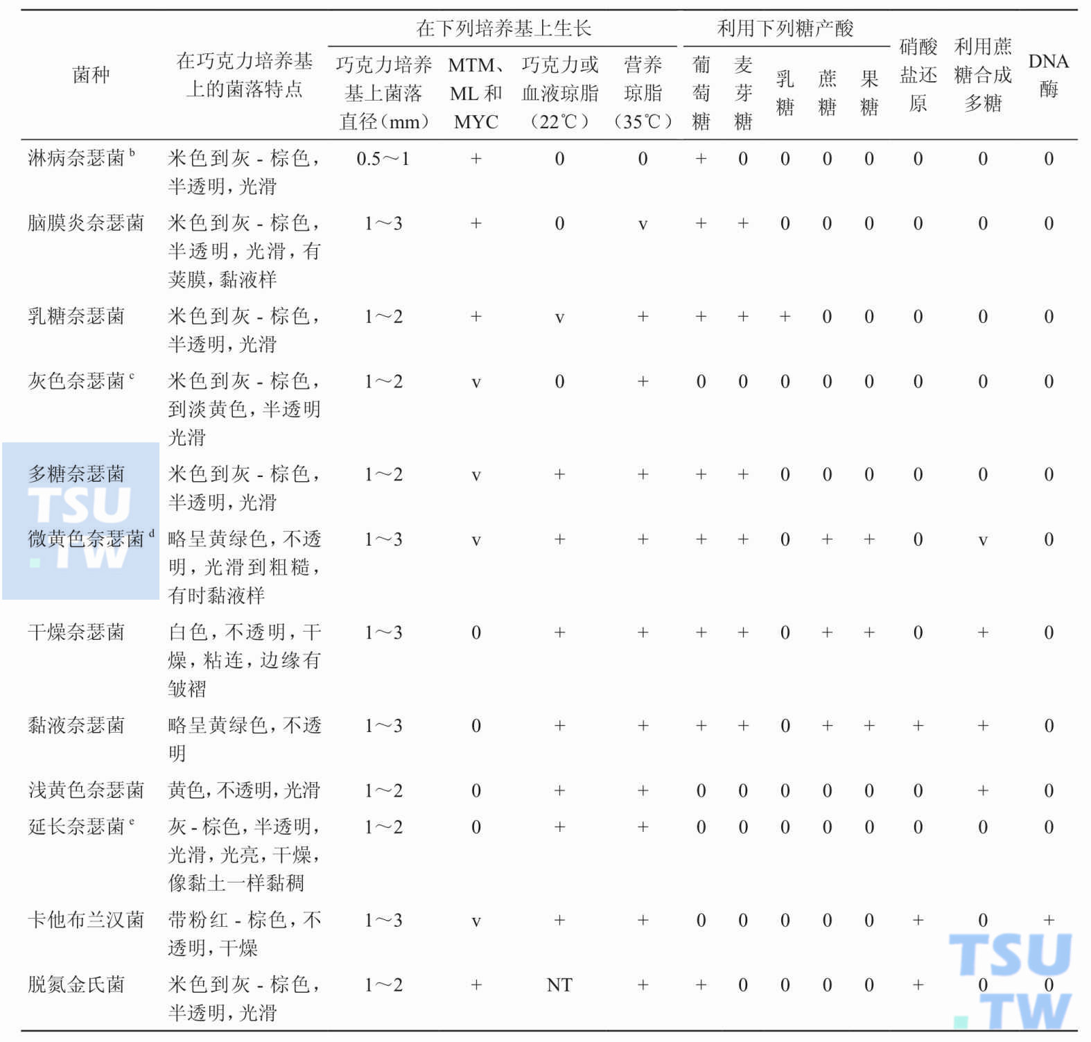 常见人源性奈瑟菌和其他相关菌种的特点