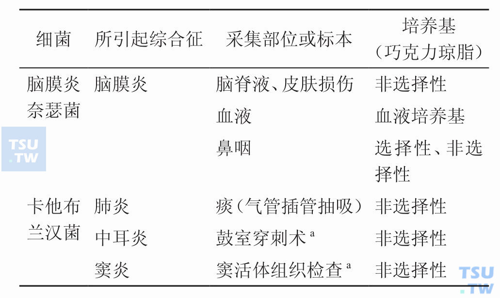 分离脑膜炎奈瑟菌、卡他布兰汉菌常用身体部位或标本与培养基；a非常规地执行