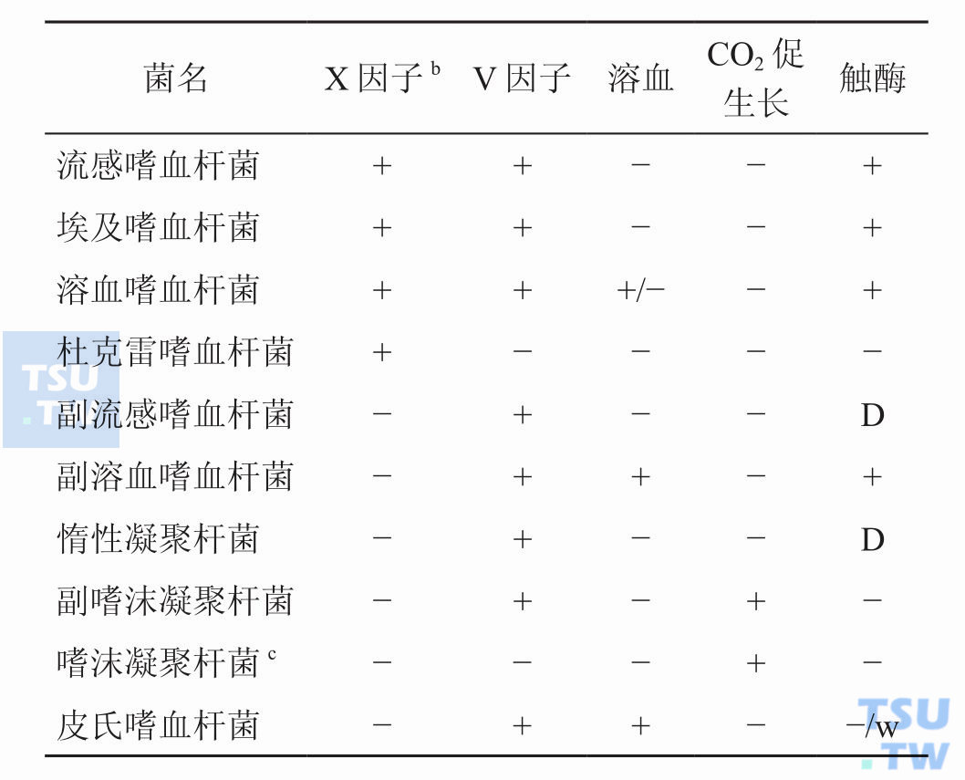 嗜血杆菌属主要菌种间应如何鉴别？