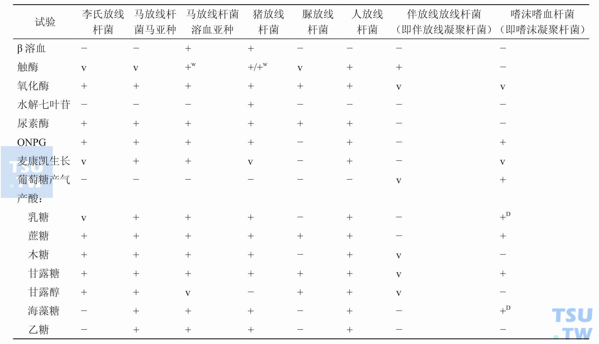 放线杆菌属常见细菌与嗜沫凝聚杆菌的鉴别试验