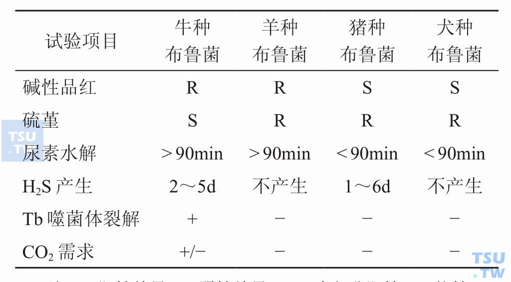 布鲁菌属中各菌种的生物学特征；注：+，阳性结果；−，阴性结果；+/−，大部分阳性；R，抗性；S，敏感；d，天