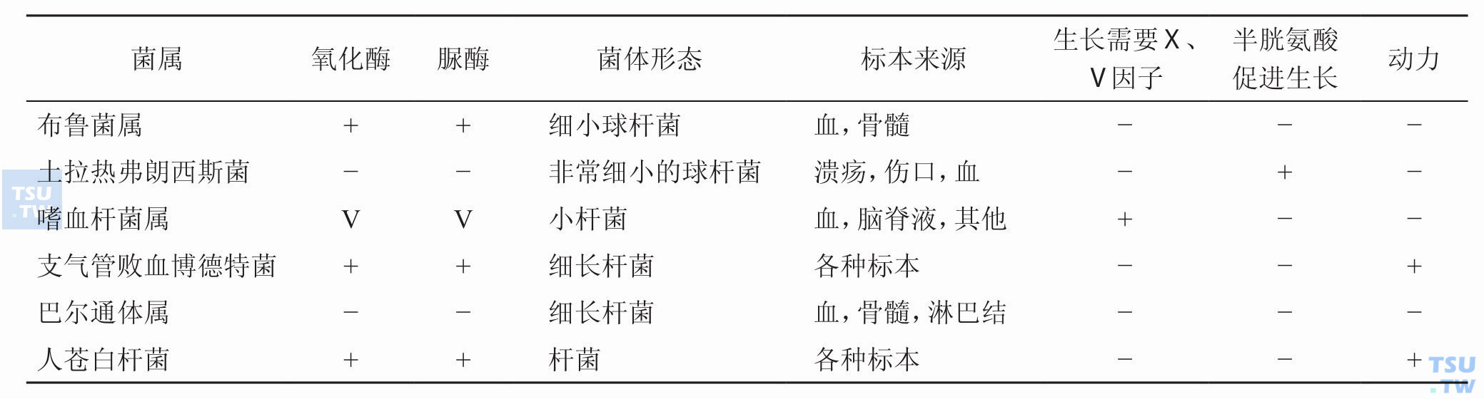 布鲁菌属与其他相似的苛养革兰阴性杆菌有何鉴别特征？