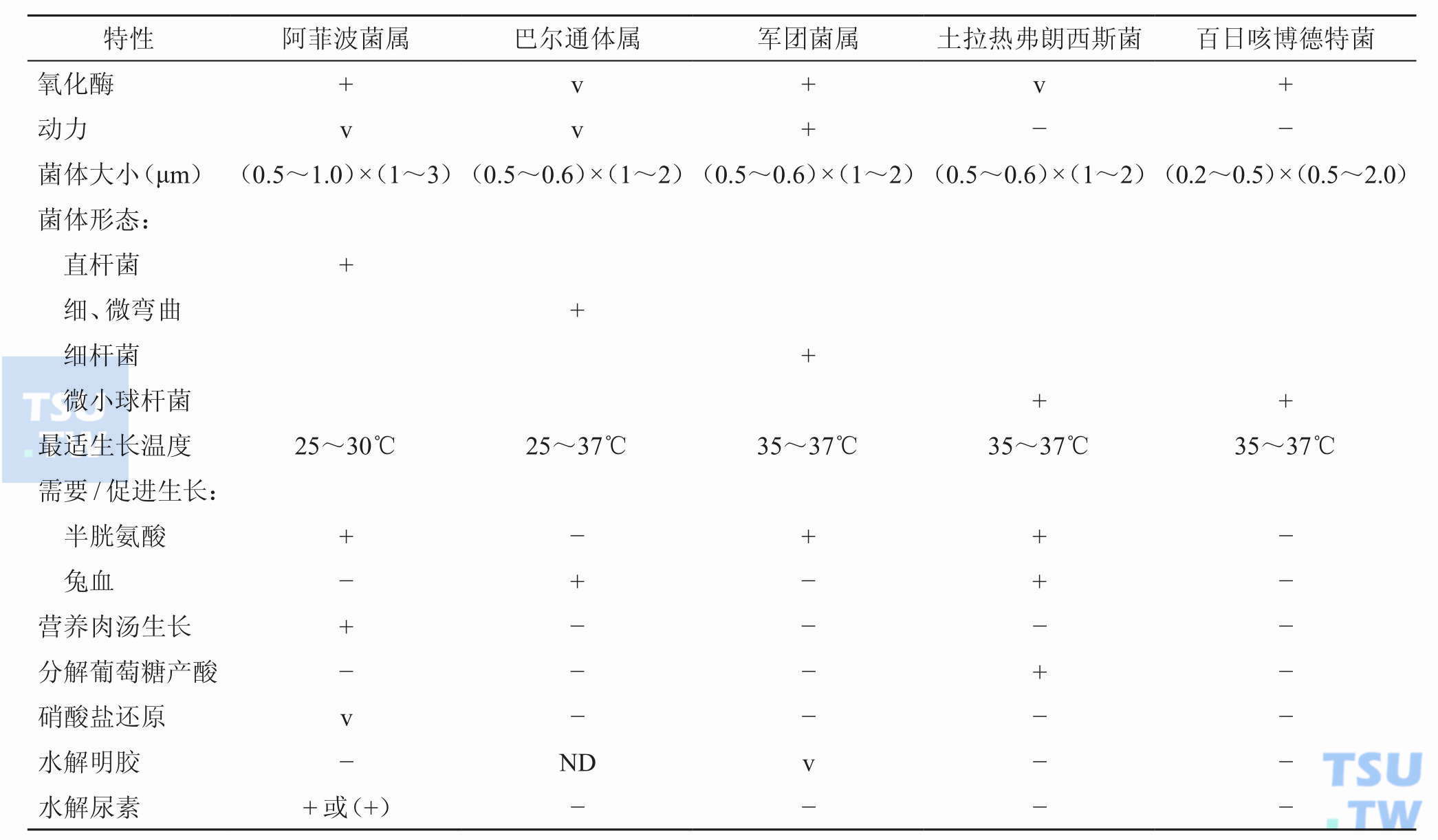 表1　阿菲波菌属与相似菌属的鉴别； 注：+，90%以上菌株阳性；（+），延迟阳性；−，90%以上菌株阴性；v，11%～89%菌株阳性；ND，无资料