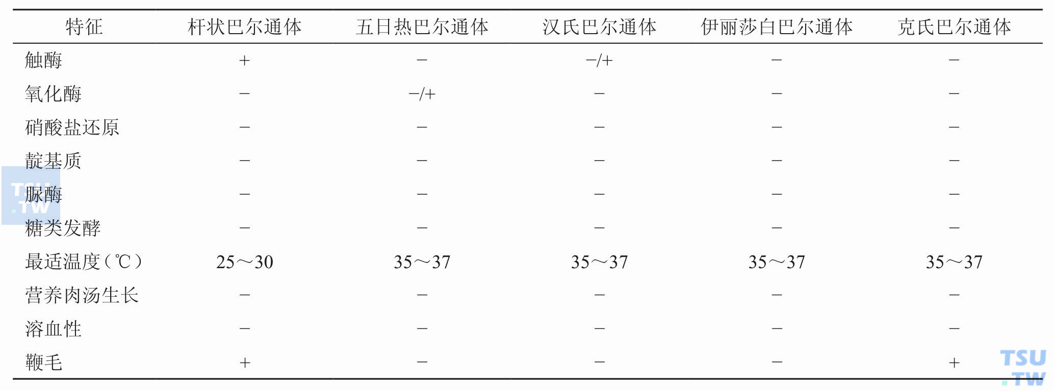 表2 临床常见巴尔通体的主要鉴别特征；注：+，阳性反应；−，阴性反应；−/+，阴性或弱阳性