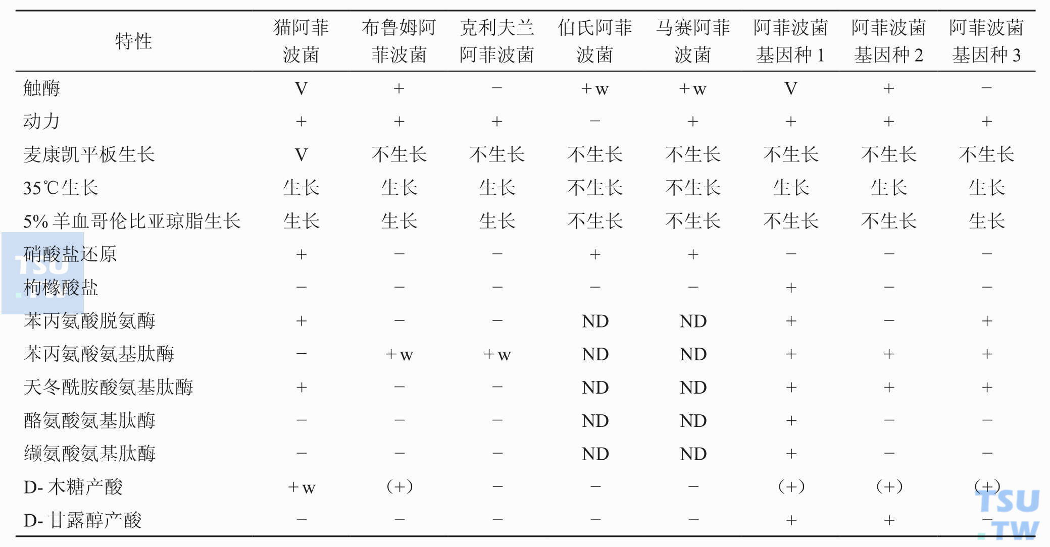 阿菲波菌属内菌种鉴别特征