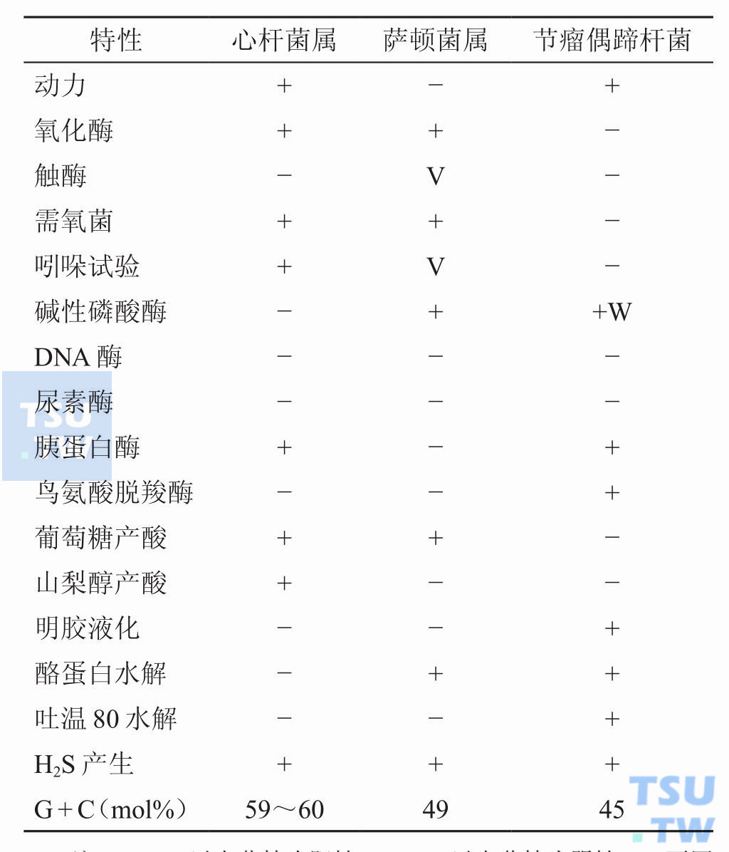 心杆菌科三个菌属的主要生物学特性