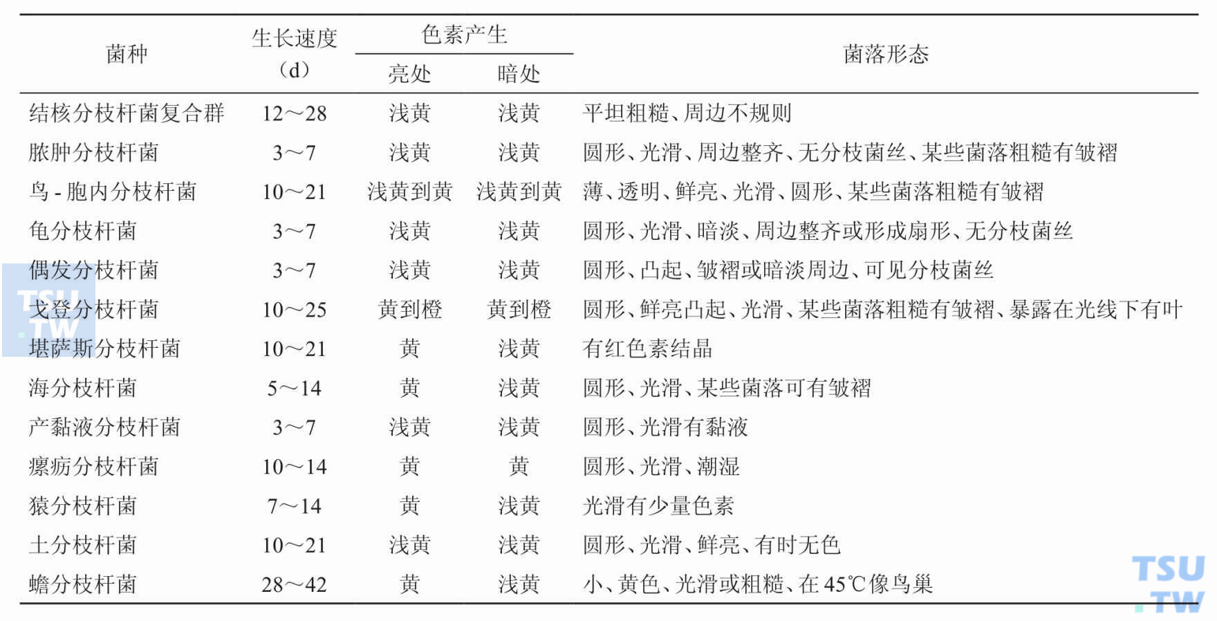 常见分枝杆菌的菌落特征