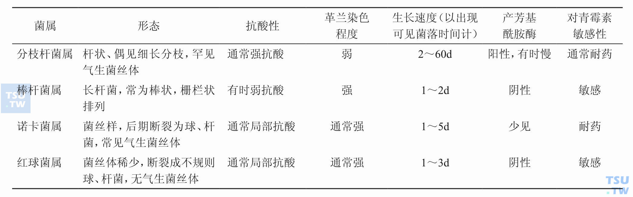 分枝杆菌与相关菌属的鉴别