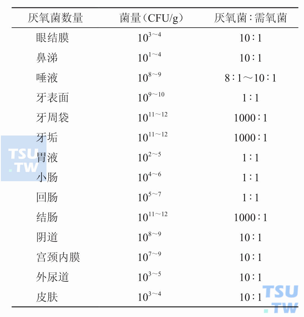 人体各部位厌氧菌寄生量与需氧菌之比