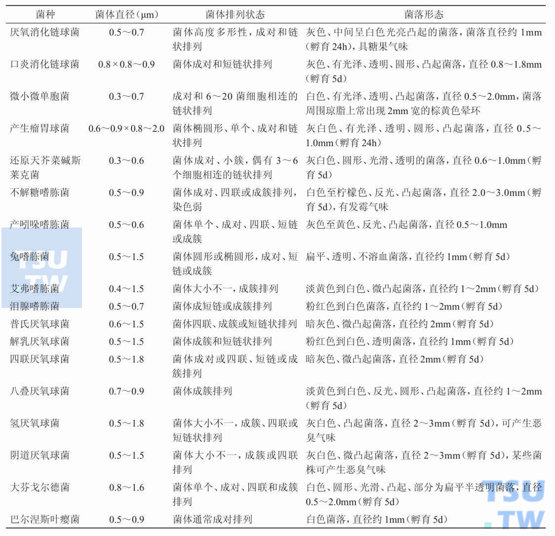 临床常见厌氧消化链球菌及相关细菌形态学特征