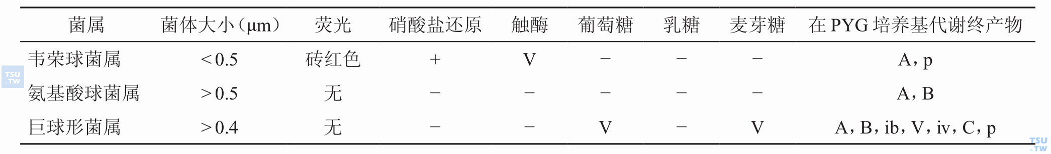 常见革兰阴性厌氧球菌的鉴别；注：+，90%以上菌株阳性；−，90%以上菌株阴性；V，可变；A，乙酸；B，丁酸；C，己酸；P，丙酸；V，戊酸；ib；异丁酸；iv；异戊酸；大写字母为主要产物，小写字母为次要产物