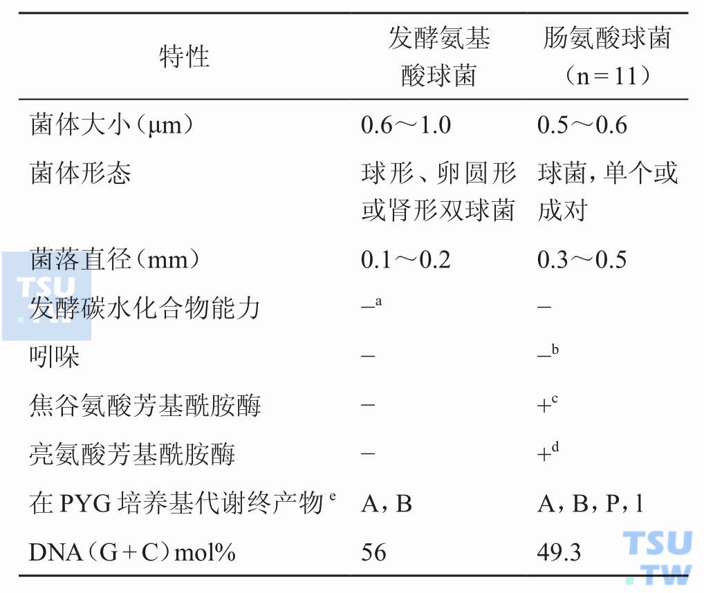 发酵氨基酸球菌与肠氨基酸球菌区别；注：a大约40%发酵氨基酸球菌弱分解葡萄糖；b81.8%（9/11）是阴性；c90.0%（10/11）是阳性；d63.6%（7/11）是阳性；e代谢终产物：A，乙酸；B，丁酸；P，丙酸；L，乳酸；大写字母为主要产物，小写字母为次要产物