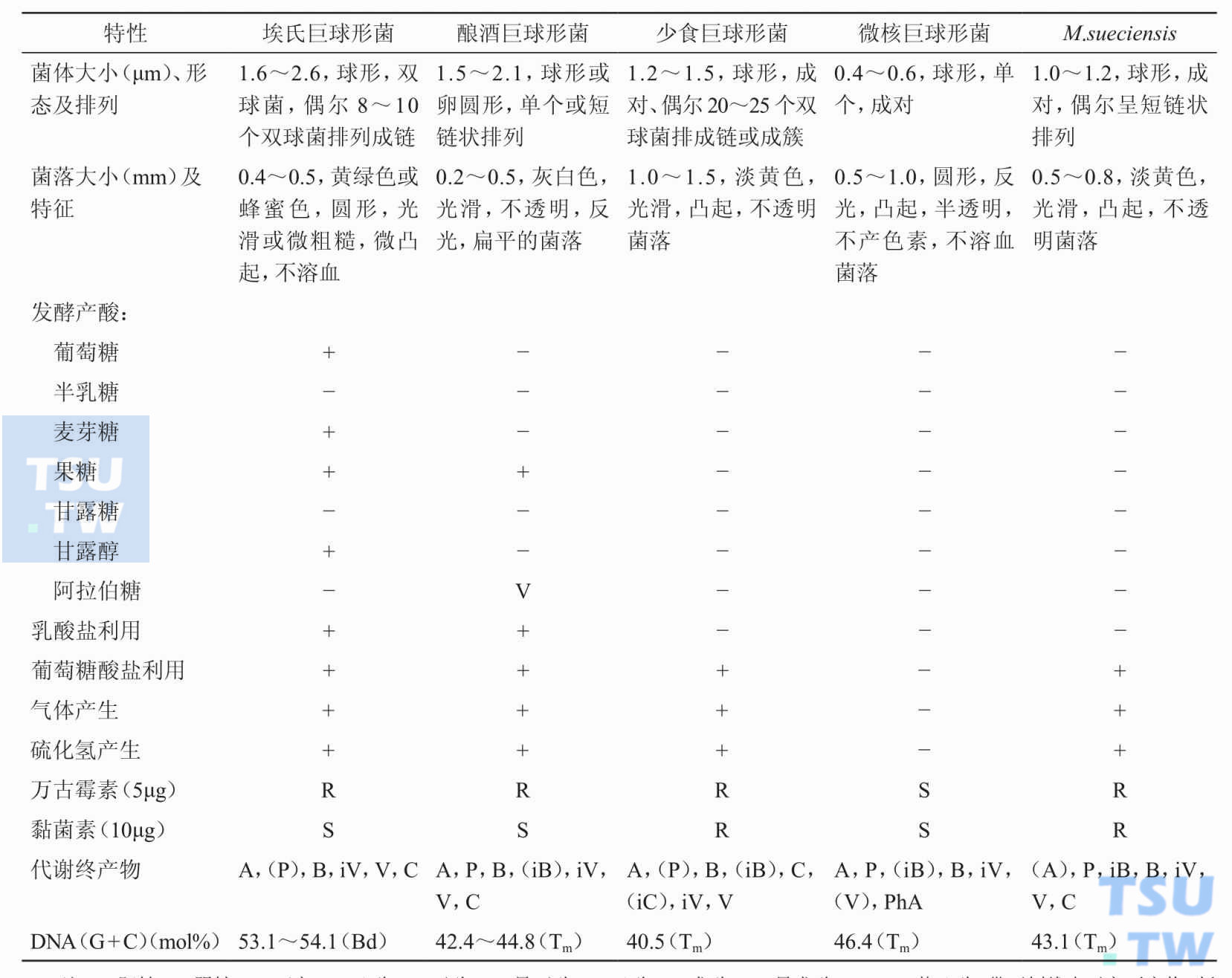 巨球形菌属内菌种鉴定；注：+，阳性；−，阴性；V，可变；A，乙酸；B，丁酸；iB，异丁酸；C，己酸；V，戊酸；iV，异戊酸；PhA，2-苯乙酸；带下划线表示主要产物；括号内产物表示不稳定的，Bd，浮力密度；Tm，热变性