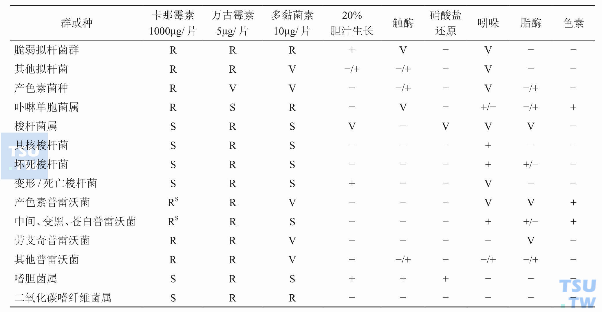 拟杆菌属与其他革兰阴性厌氧无芽胞菌属的主要生物学特征