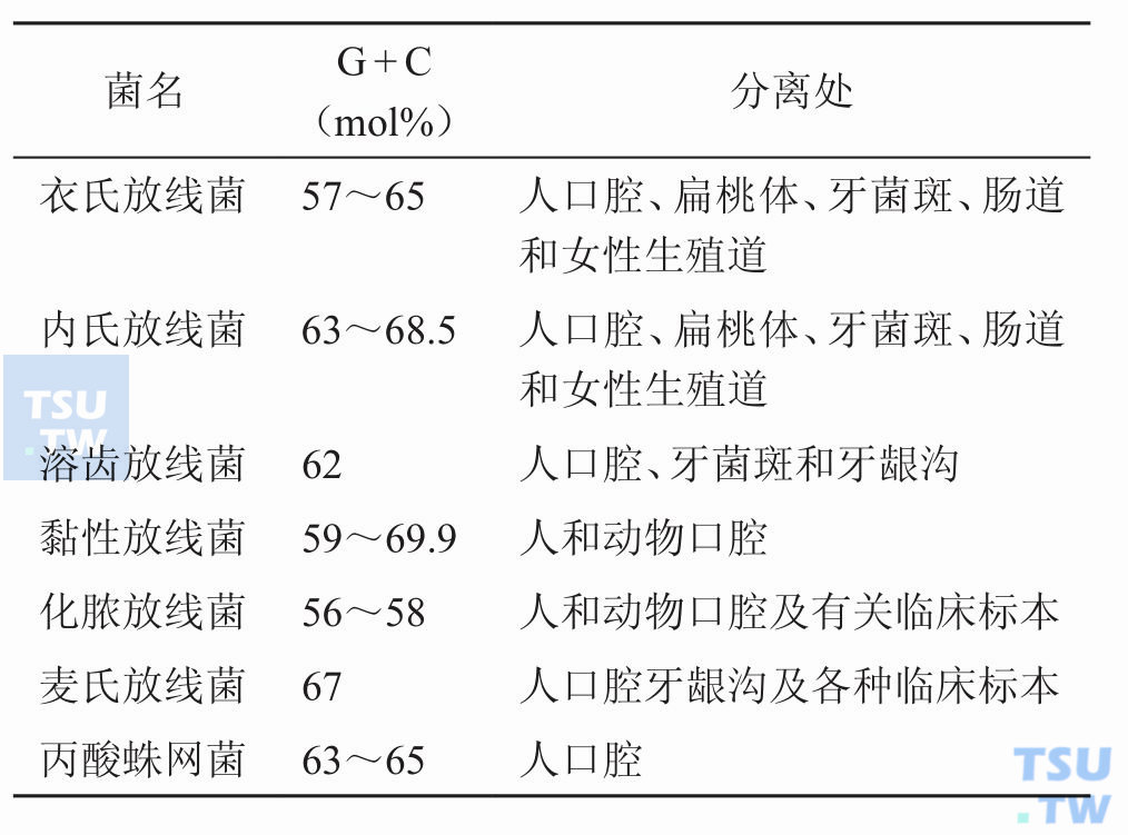 常见放线菌和蛛网菌的分离处及G + C值