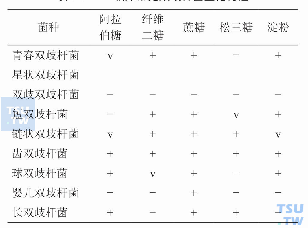 双歧杆菌属有什么生化特性？