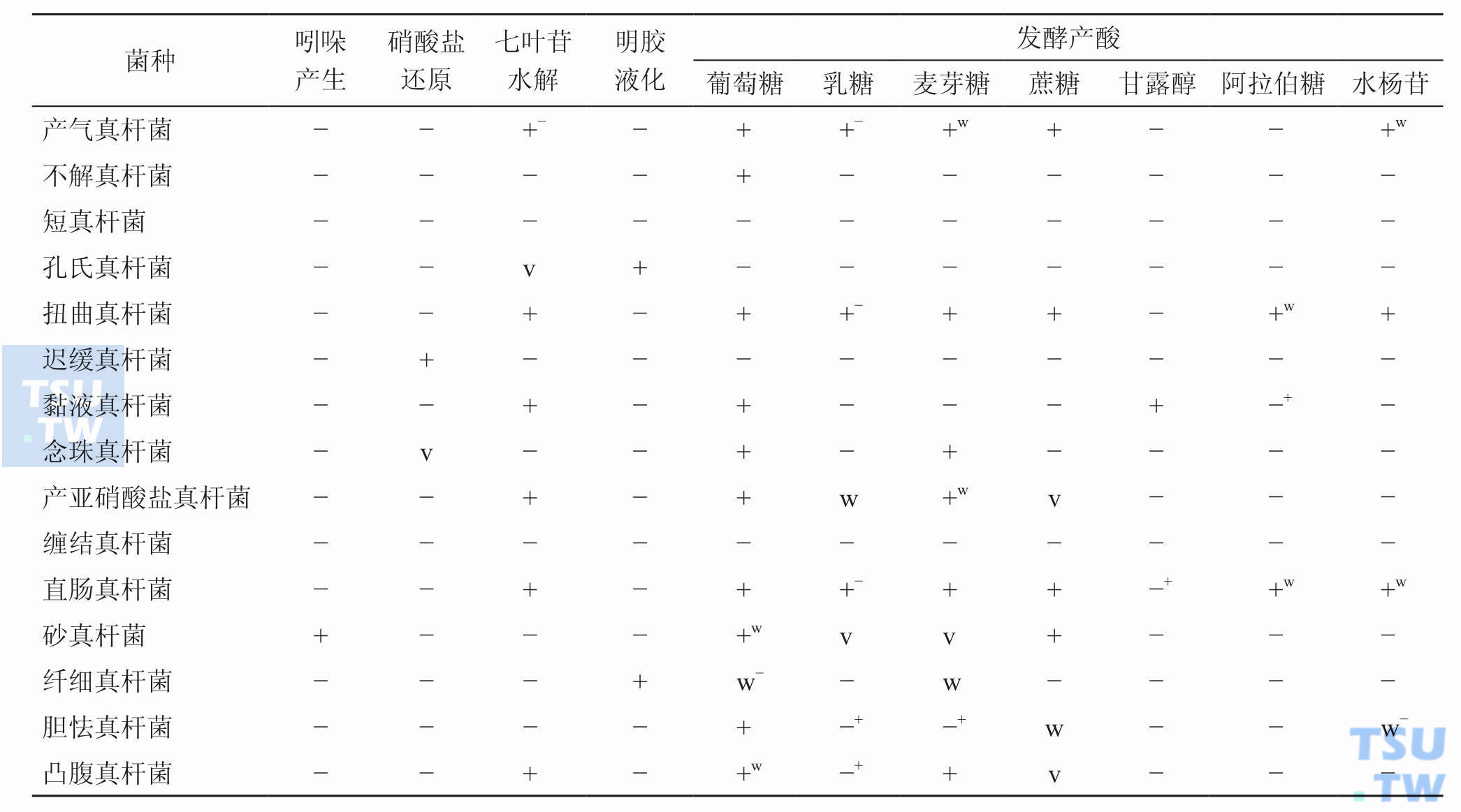 临床常见真菌杆菌的生化特性