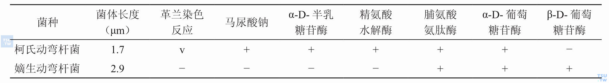 柯氏动弯杆菌与嫡生动弯杆菌生物学鉴别