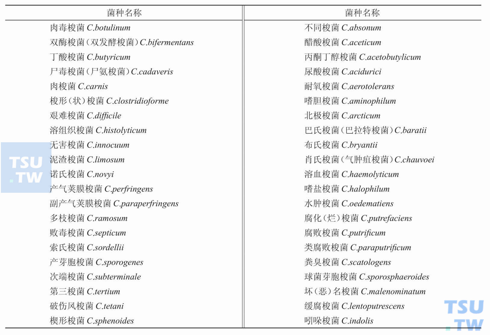 常见梭菌属菌种