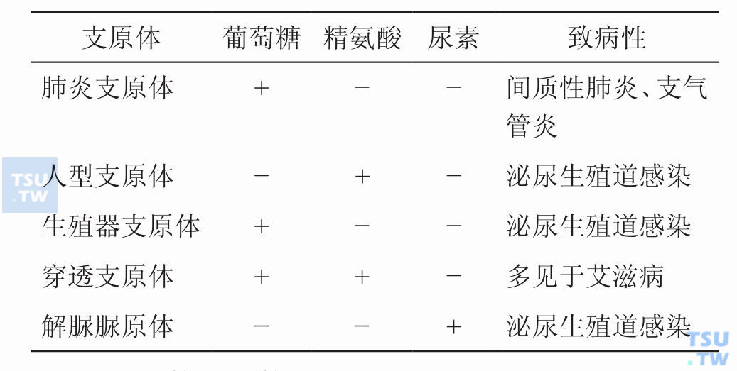 人类主要支原体和脲原体区别的重要生物学特征有哪些？