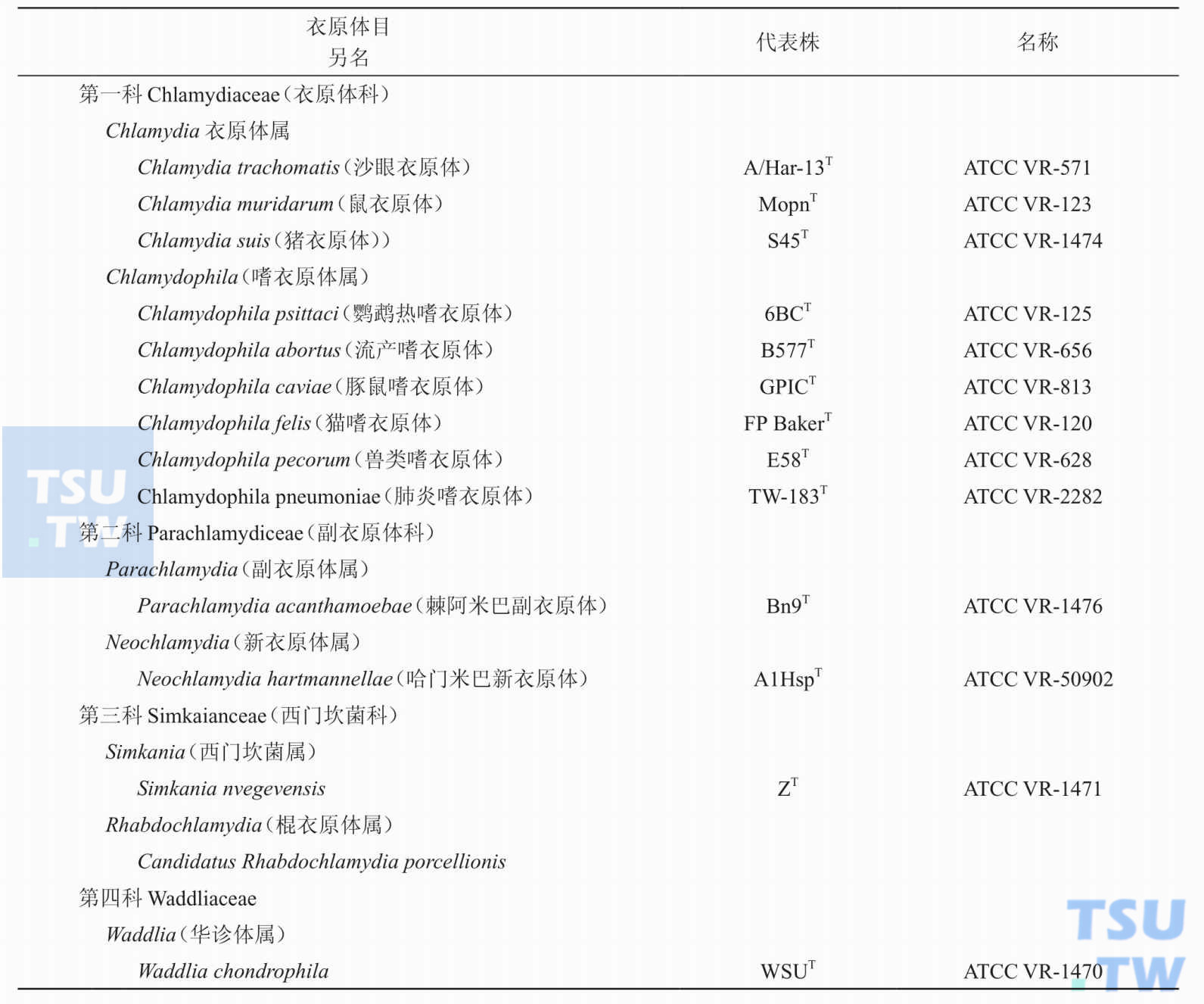 衣原体如何分类与命名？