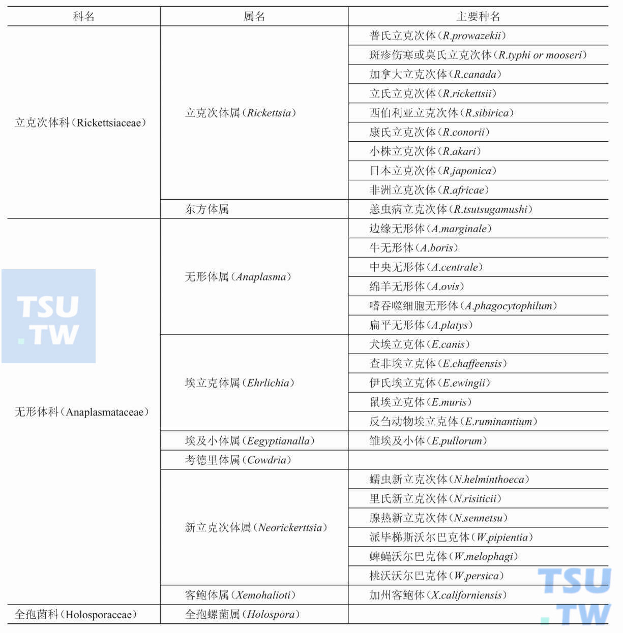 立克次体目新分类