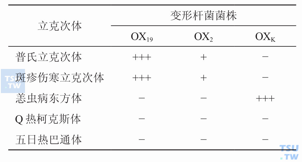 立克次体有什么样的抗原结构？