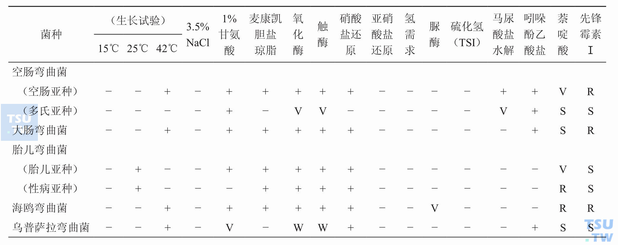 临床常见弯曲菌的表型特征