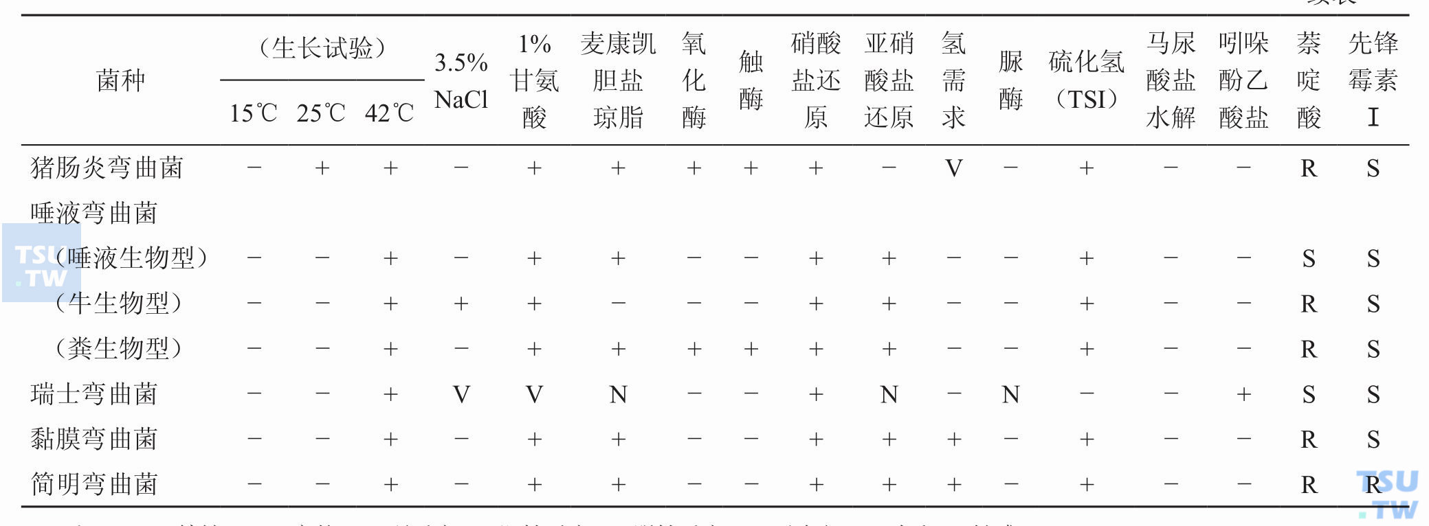 临床上常见弯曲菌的表型特征