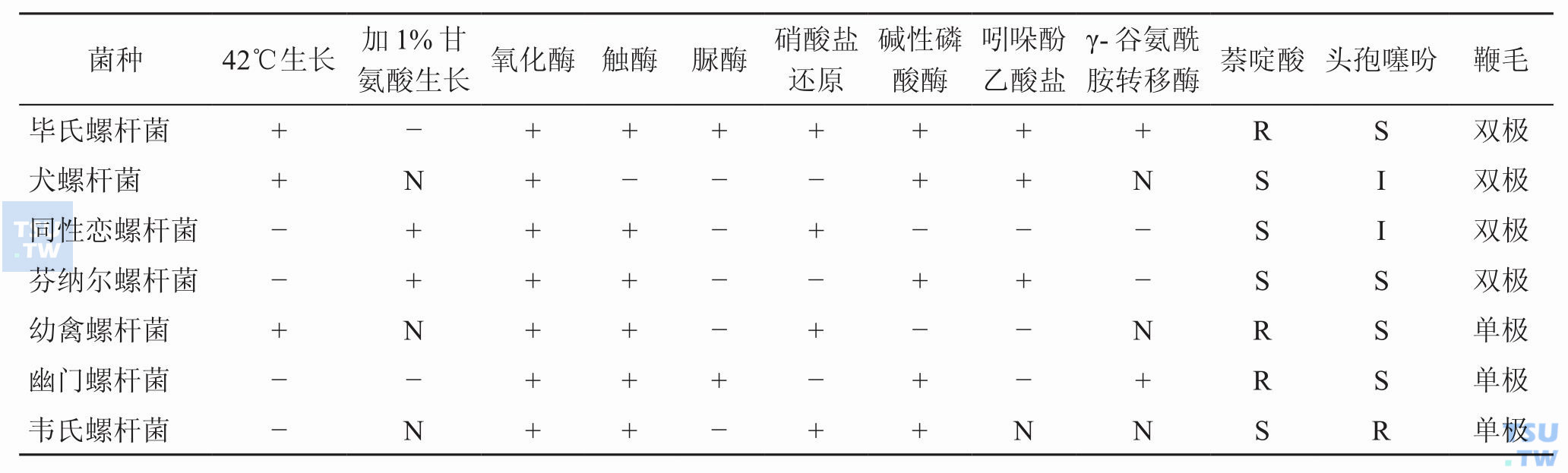 螺杆菌属中与人相关菌种的表型特征