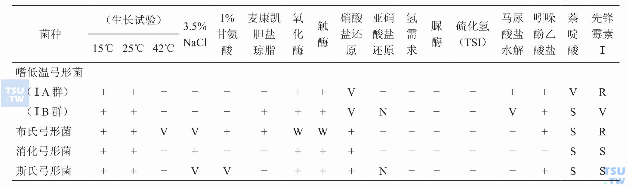 弓形菌的表型特征