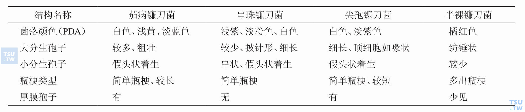 与人类感染较密切的镰刀菌种的鉴别要点是什么？