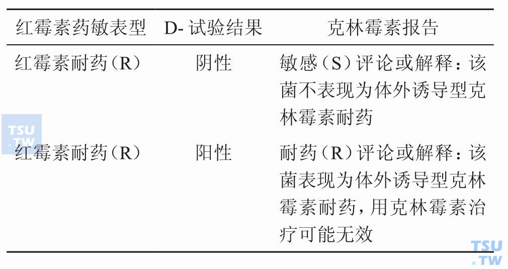 如何报告D-试验结果？