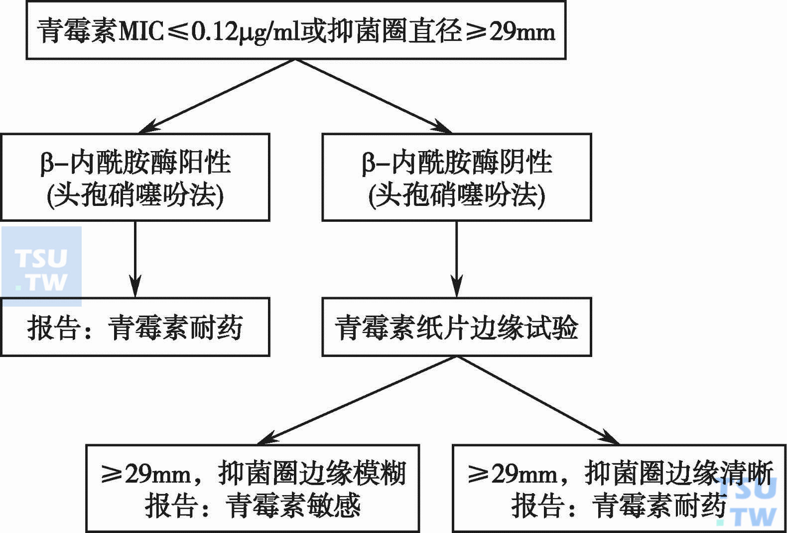  葡萄球菌青霉素敏感性报告流程图