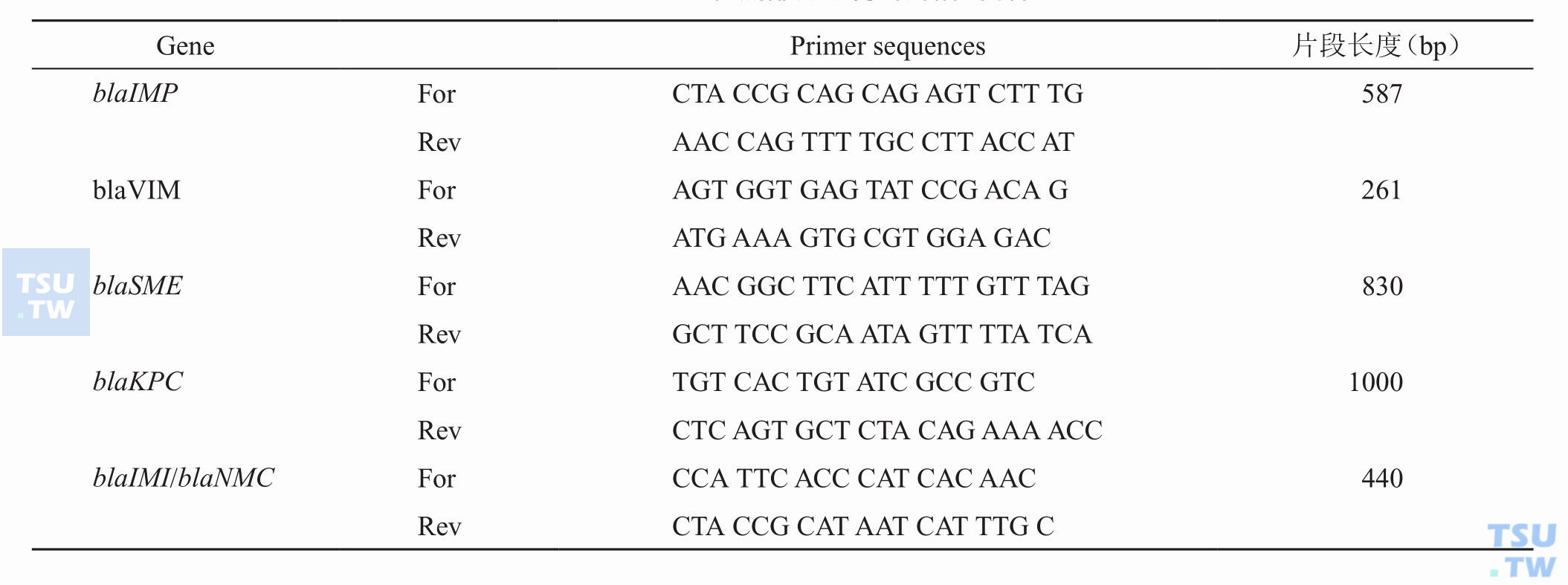 如何准确检测KPC碳青霉烯酶基因？