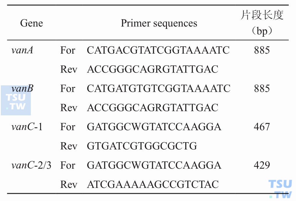 多重PCR检测VRE的引物