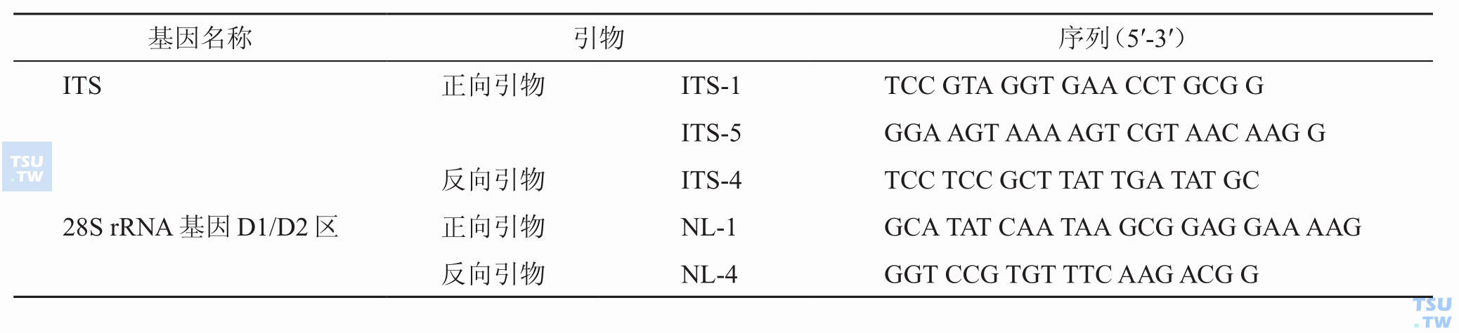 真菌ITS区间、28S rRNA基因D1/D2区引物序列