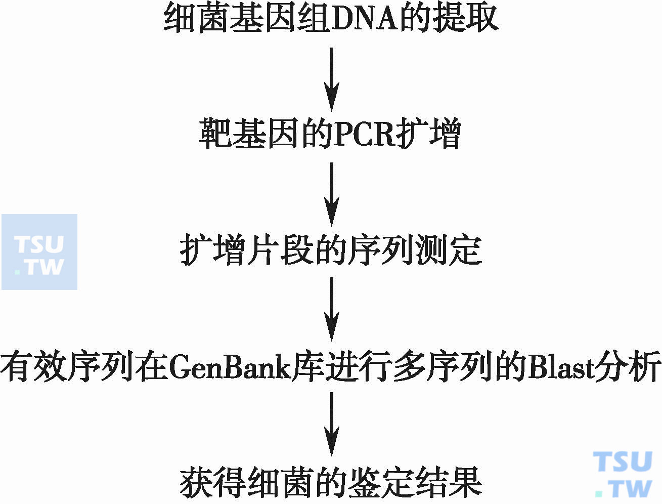 简述基于广范围PCR的基因测序鉴定病原细菌、真菌的技术流程