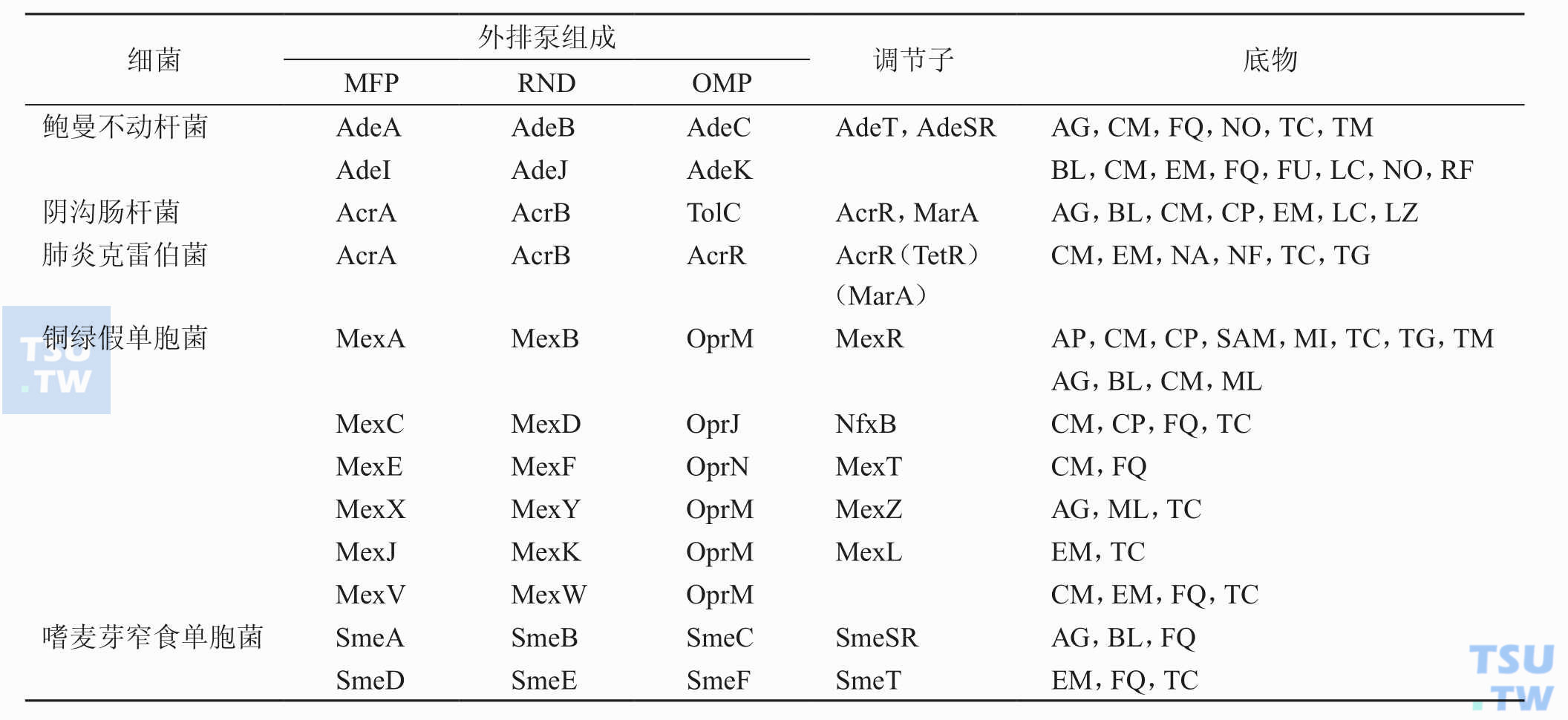 什么是抗生素的渗透障碍？