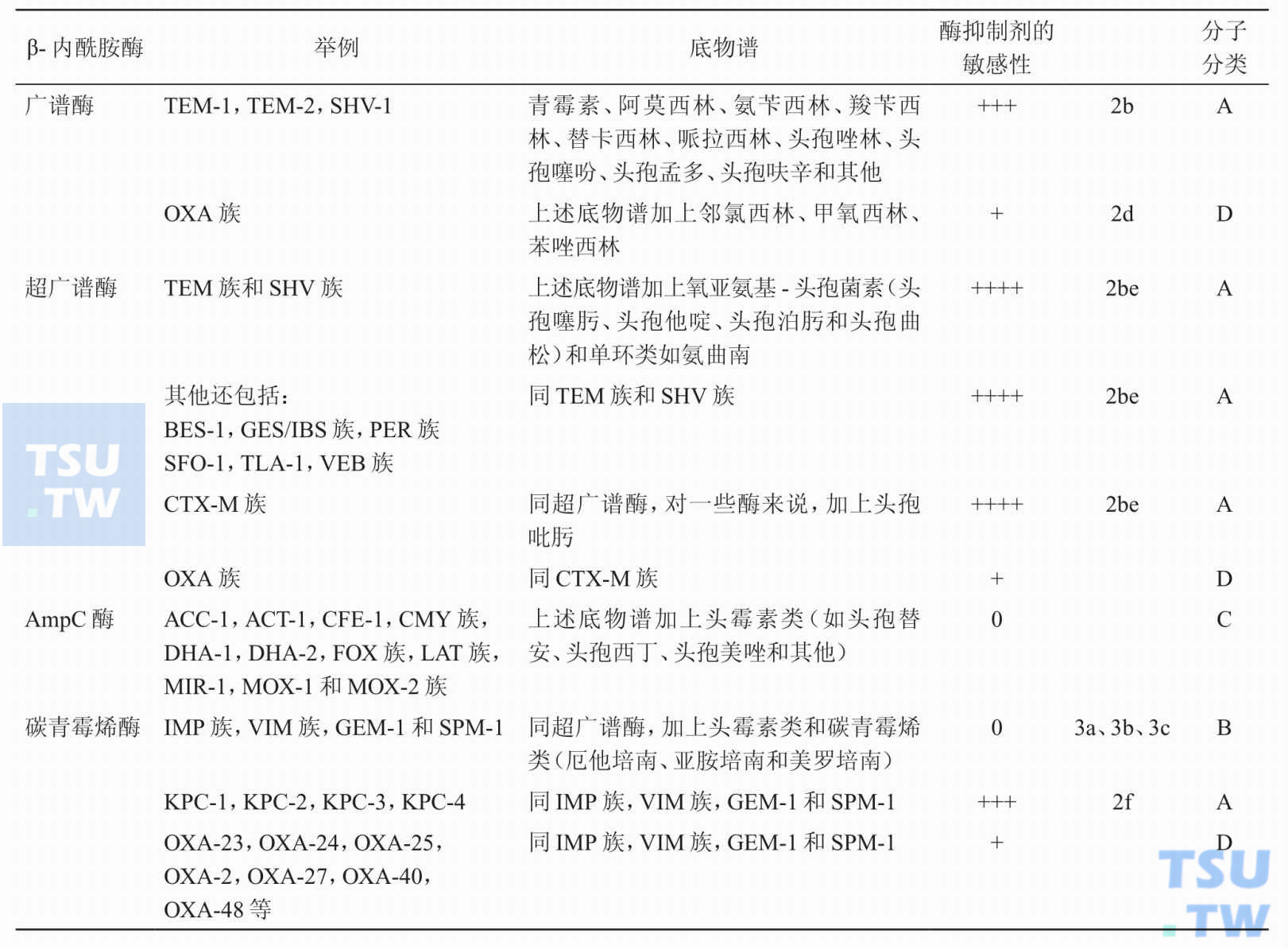 有关β-内酰胺酶的分类、底物谱以及对酶抑制剂的敏感性，了解了多少？