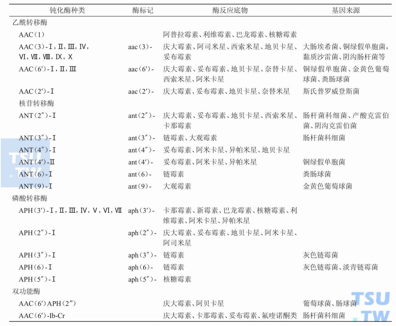 主要的氨基糖苷类钝化酶种类