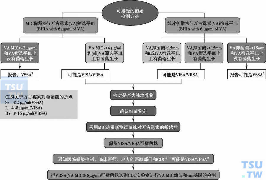  金黄色葡萄球菌万古霉素敏感性试验报告策略（美国CDC 2010.11）