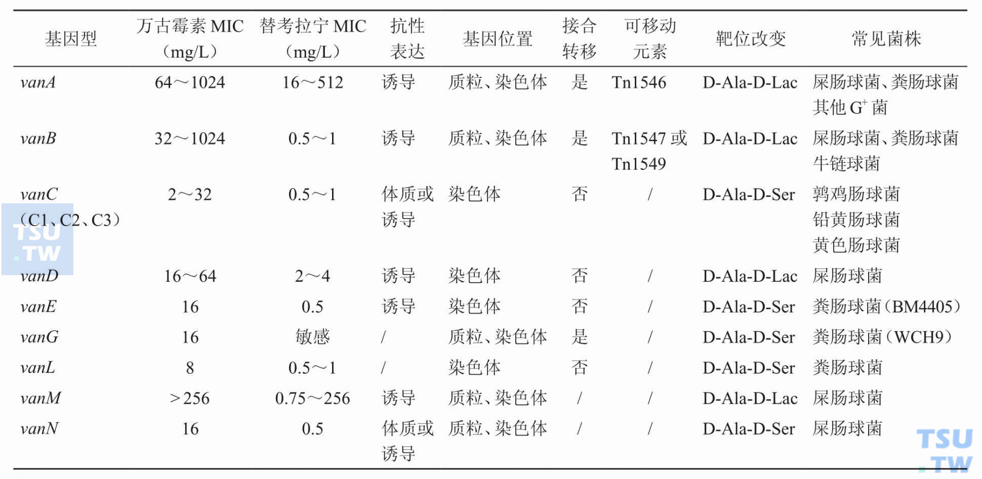 不同基因型耐药肠球菌的特点是什么？