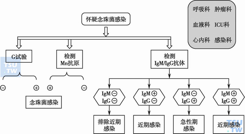  念珠菌抗原和抗体联合检测方案