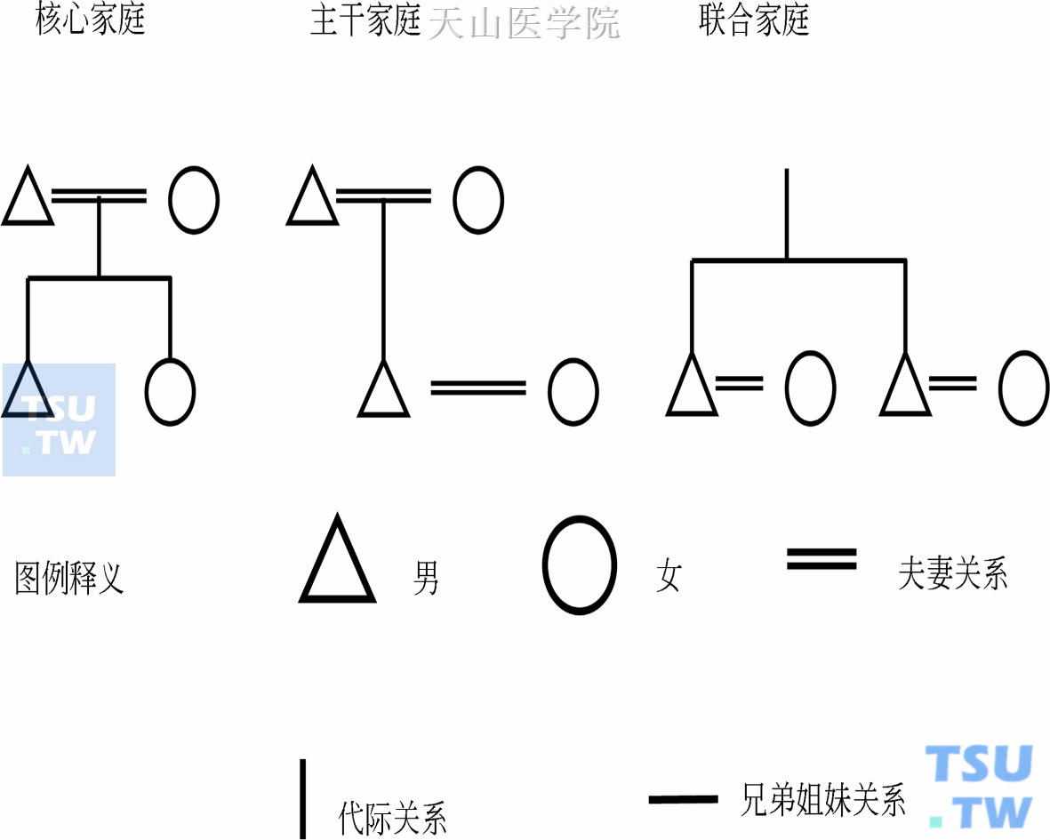 几种主要家庭关系的示意